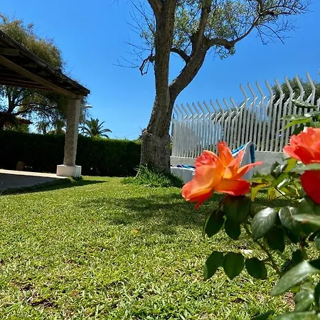 Serf A 100 M Dalla Villa