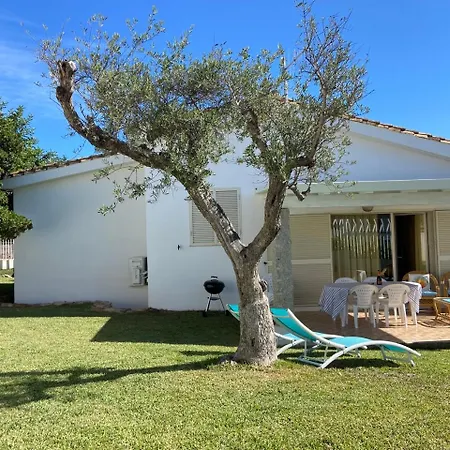 Serf A 100 M Dalla Àrbatax